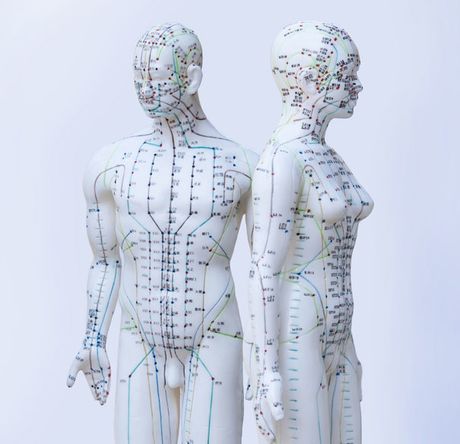Die Meridiane sind elektromagnetische Leiter, auf ihnen liegen Akupunktur-Punkte.