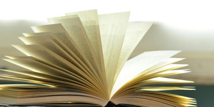 Alzheimer Buch Dr. Werth
