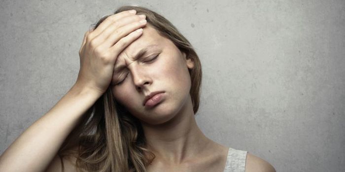 Entdeckung der Therapie